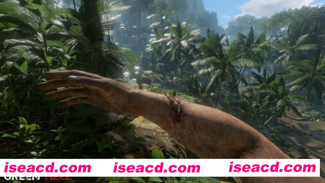 丛林地狱（Green Hell）v1.53中文联机版 生存模拟游戏