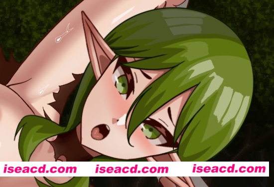 【日式ACT/中文/动态CG】精灵弓箭手与消失的大树 官方中文步兵版【300M/新作/CV】