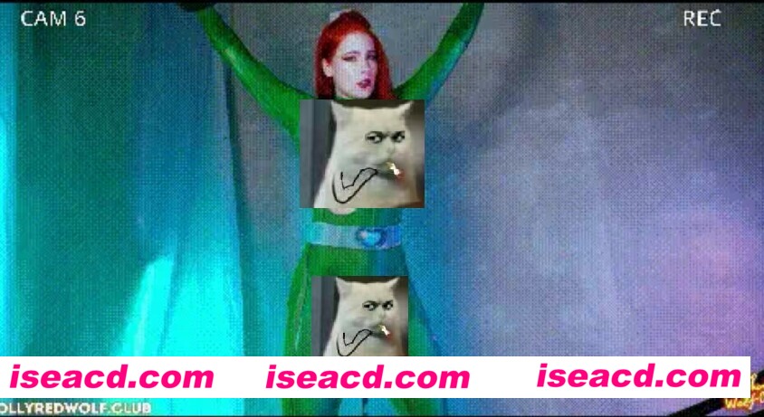 【COSPLAY/视频/步兵】[mollyredwolf] 少女特工 Sam 4K  [1v]【1.9G】