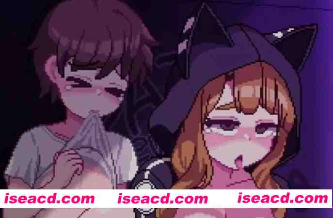 [像素动画/步兵/小合集] 像素动画大佬 シュナイダー 7月回归3部合集 [3V] [400M/CV]