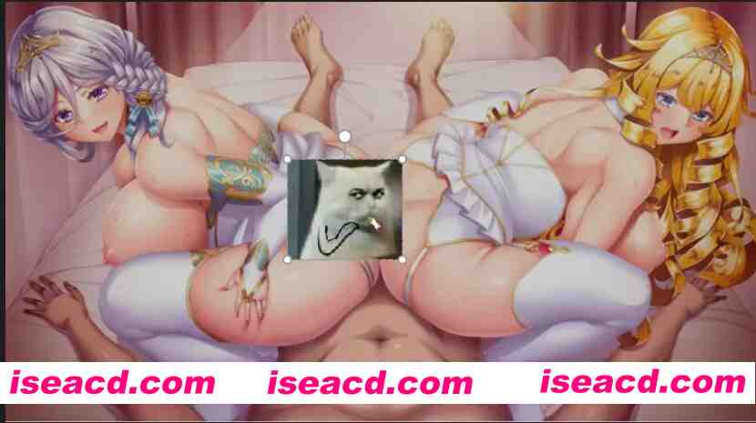 [日式ADV/AI汉化/拔作] 二美姬的人偶～高贵姐妹的尊严崩坏 AI汉化版+全CG存档 [1.4G/全CV]