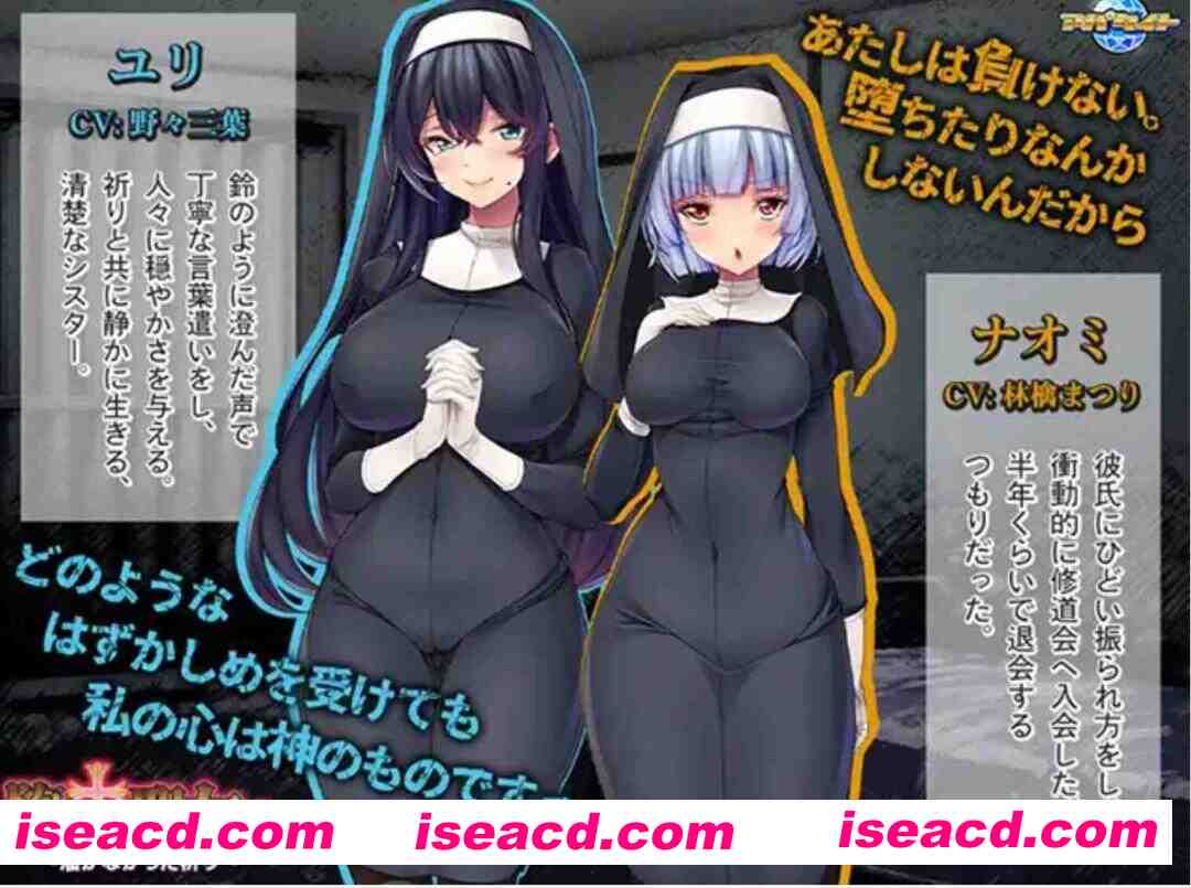 [日式ADV/AI汉化] 堕落的圣女们 ～无法传达的祈祷～ 堕ちた聖女達 ～届かなかった祈り～AI汉化版 [500M/新作/CV]