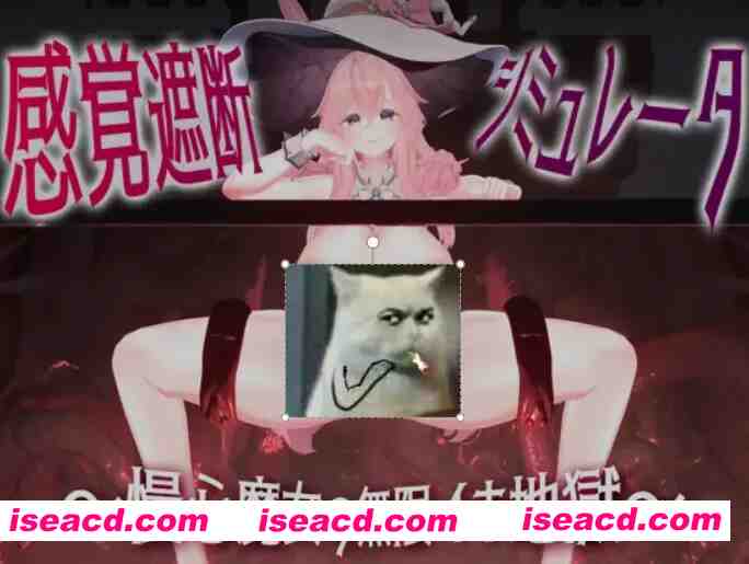 [互动SLG/全动态] 感官阻断模拟器-高傲魔女的无限快感地狱 dl版 [1.1G/新作/全CV]