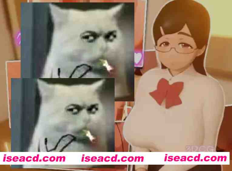 [3D互动/可VR/全动态] 与班级委员长放学后的H行为 v25.05.24 VR提取版+视频版 [5.9G/全CV]